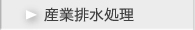 �Y�Ɣr������