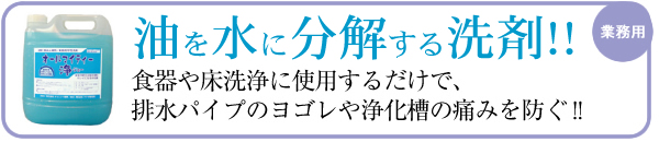 �V���i�̂��ē�